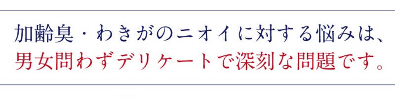 ��p�l�I�e�N�g���T�C�g